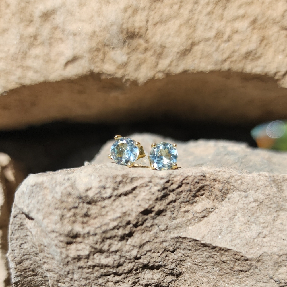 Elegant Gold and Blue Stud Earrings